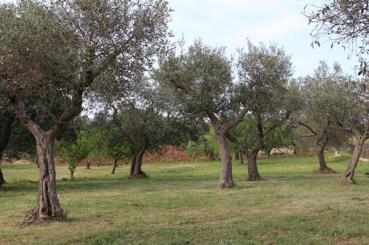 Antiche Dimore Terrarossa Alberobello Eksteriør billede