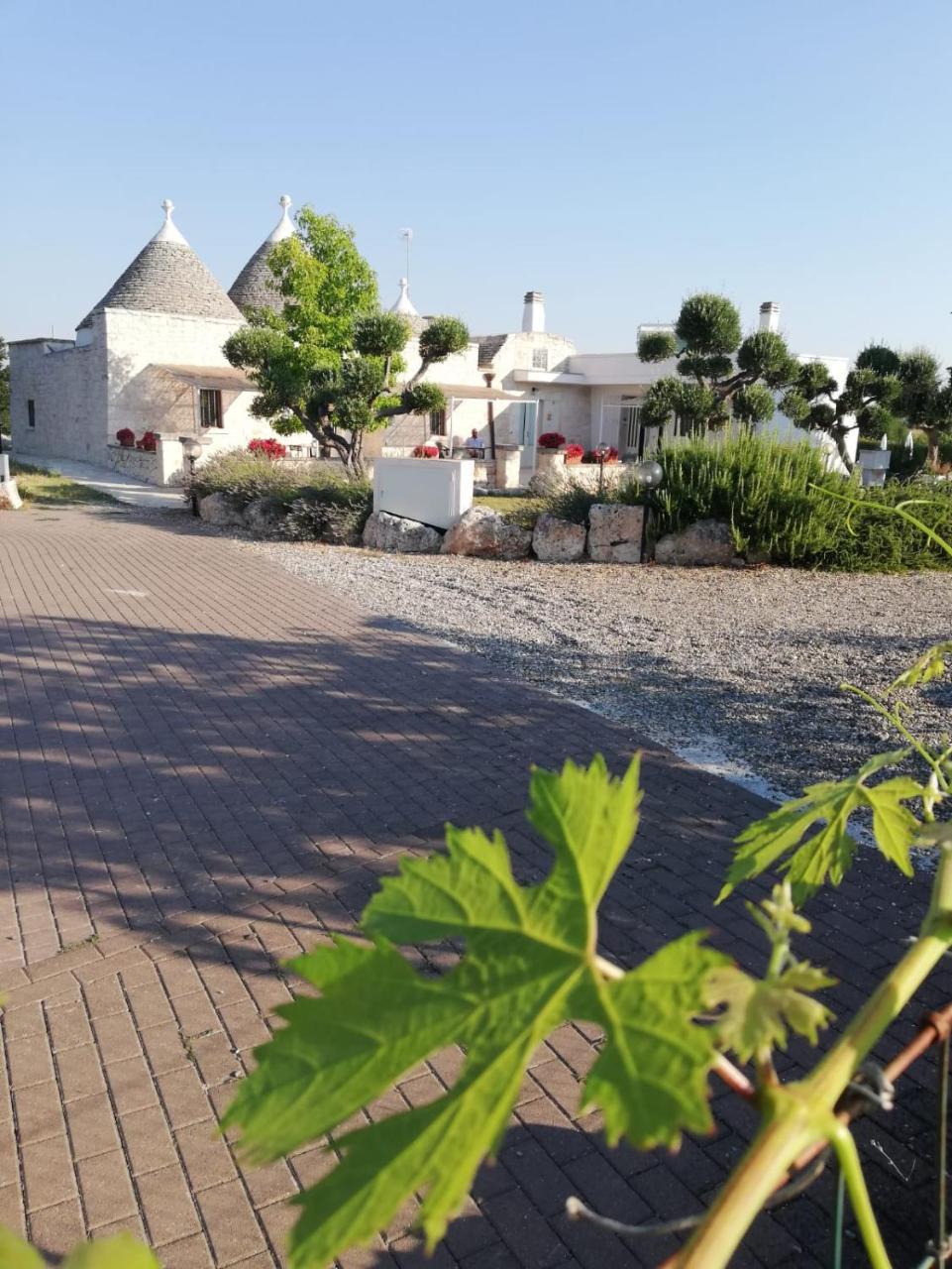 Antiche Dimore Terrarossa Alberobello Eksteriør billede