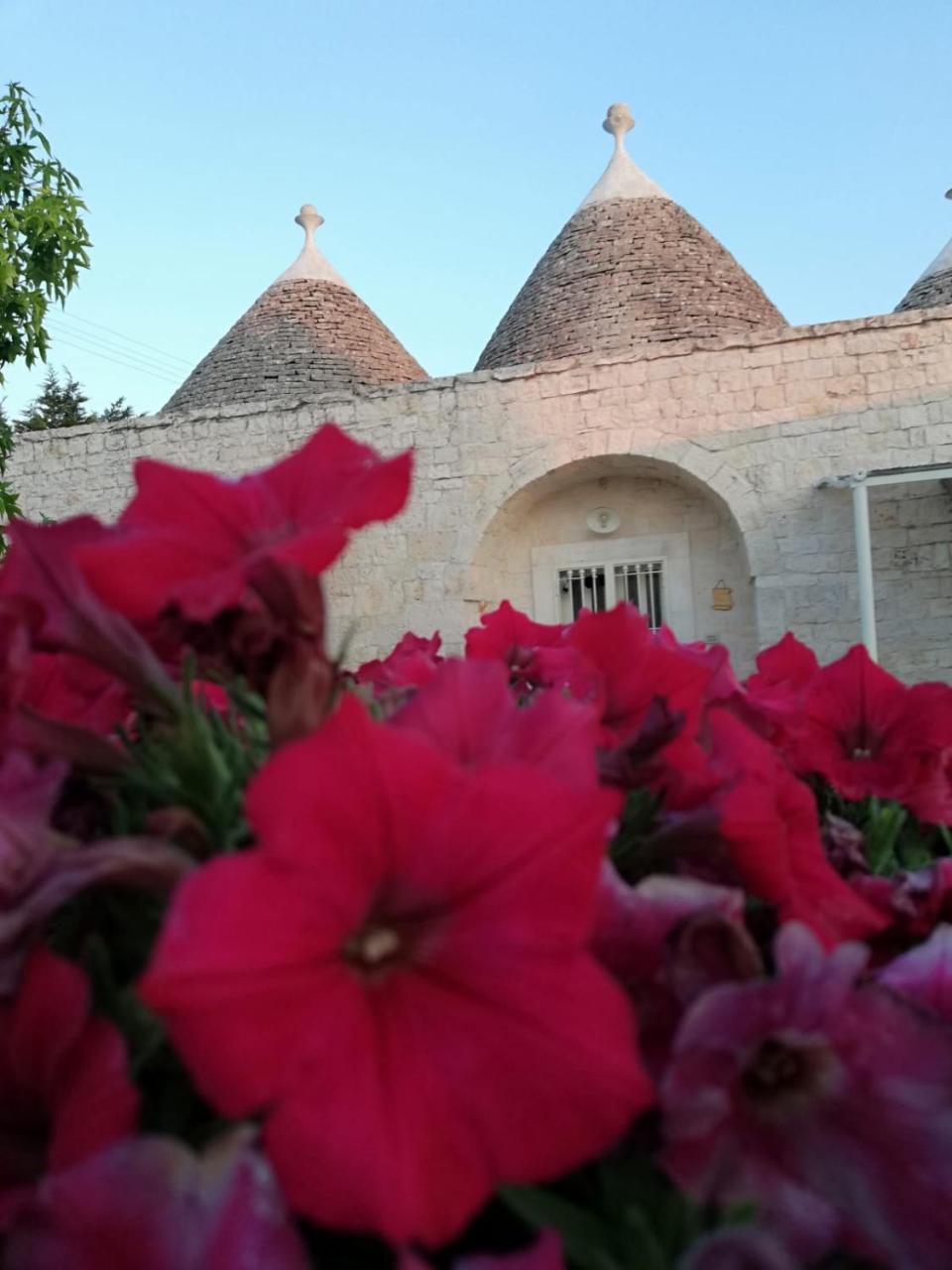 Antiche Dimore Terrarossa Alberobello Eksteriør billede